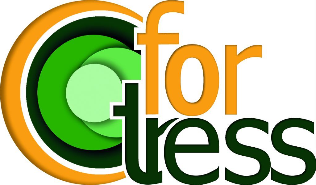 Logo Fortress