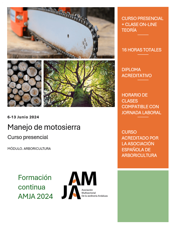 Curso