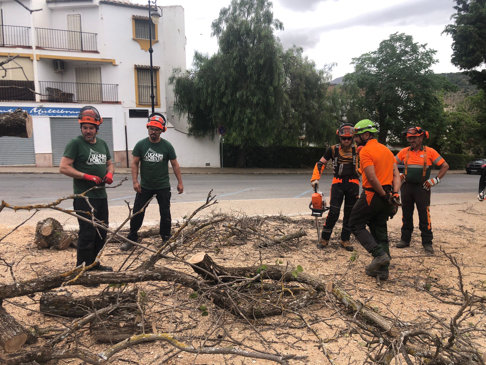 Curso manejo de motosierra