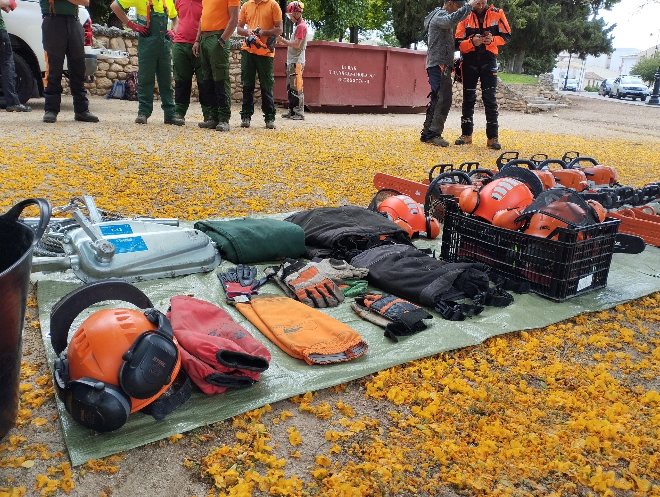Curso manejo de motosierra