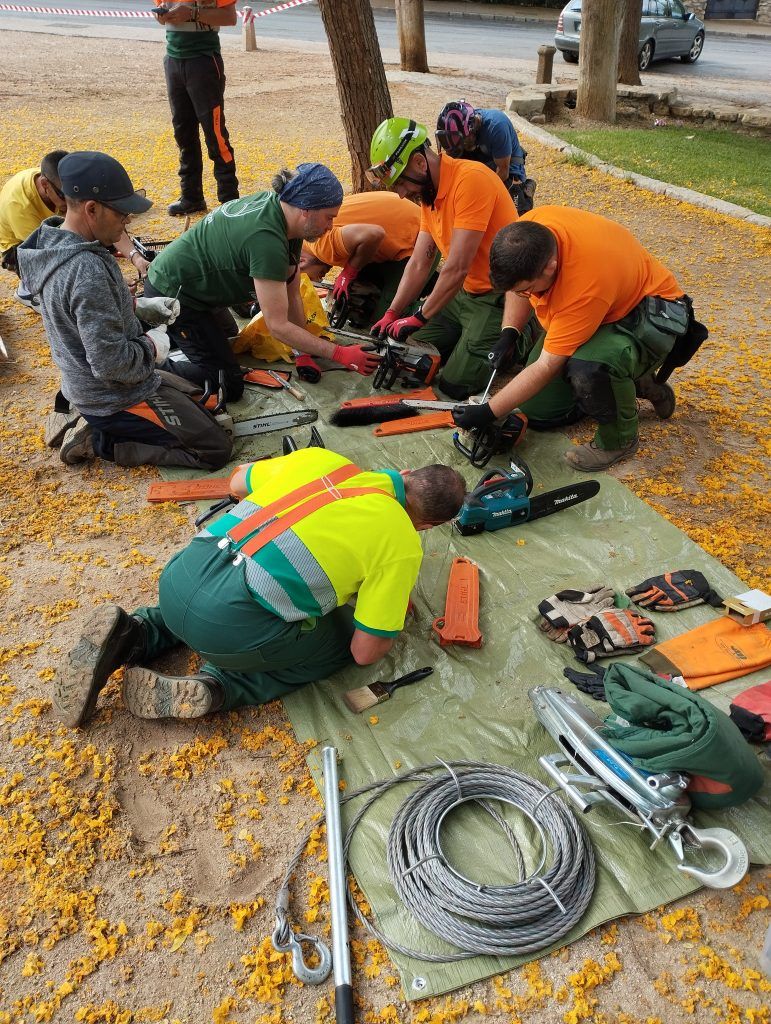 Curso Manejo de motosierra