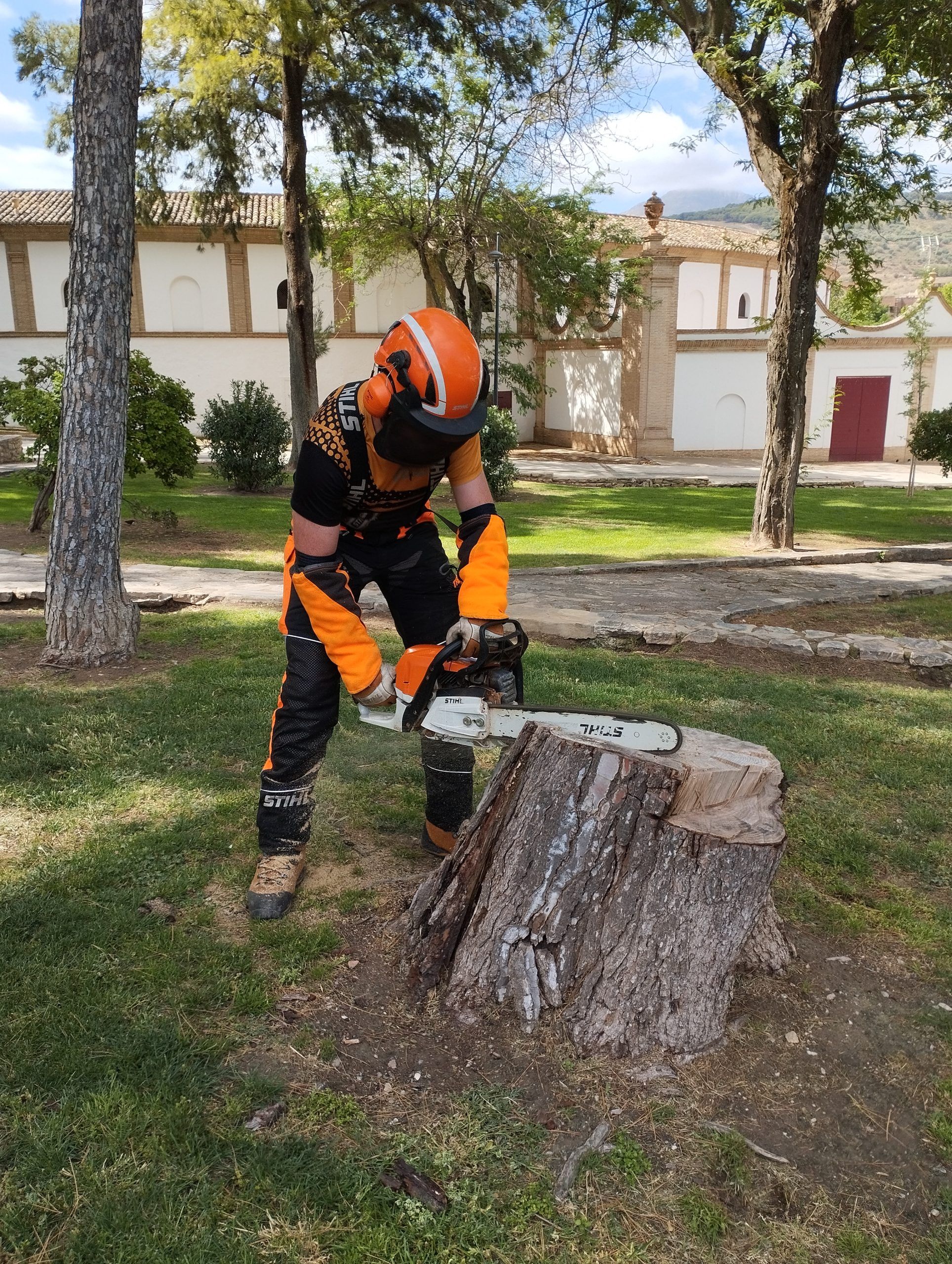 Manejo de motosierra con EPI´s