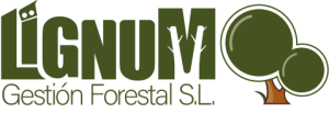 log lignum 2024