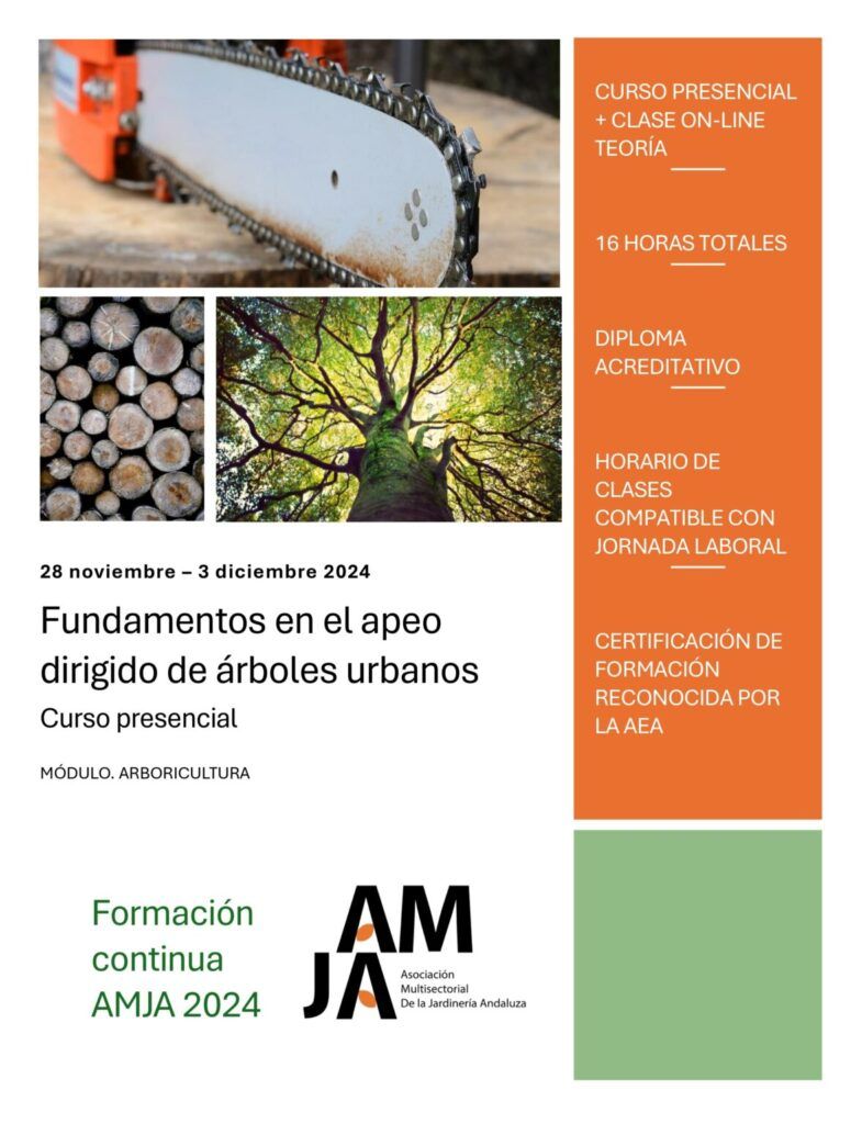 Curso de apeo dirigido en arbolado urbano