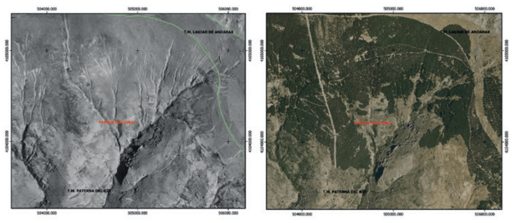 Actuaciones repobladoras en Parque Nacional de Sierra Nevada