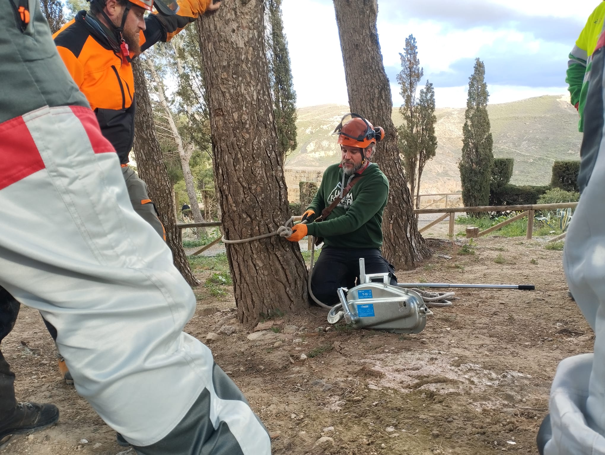 Uso de tractel 